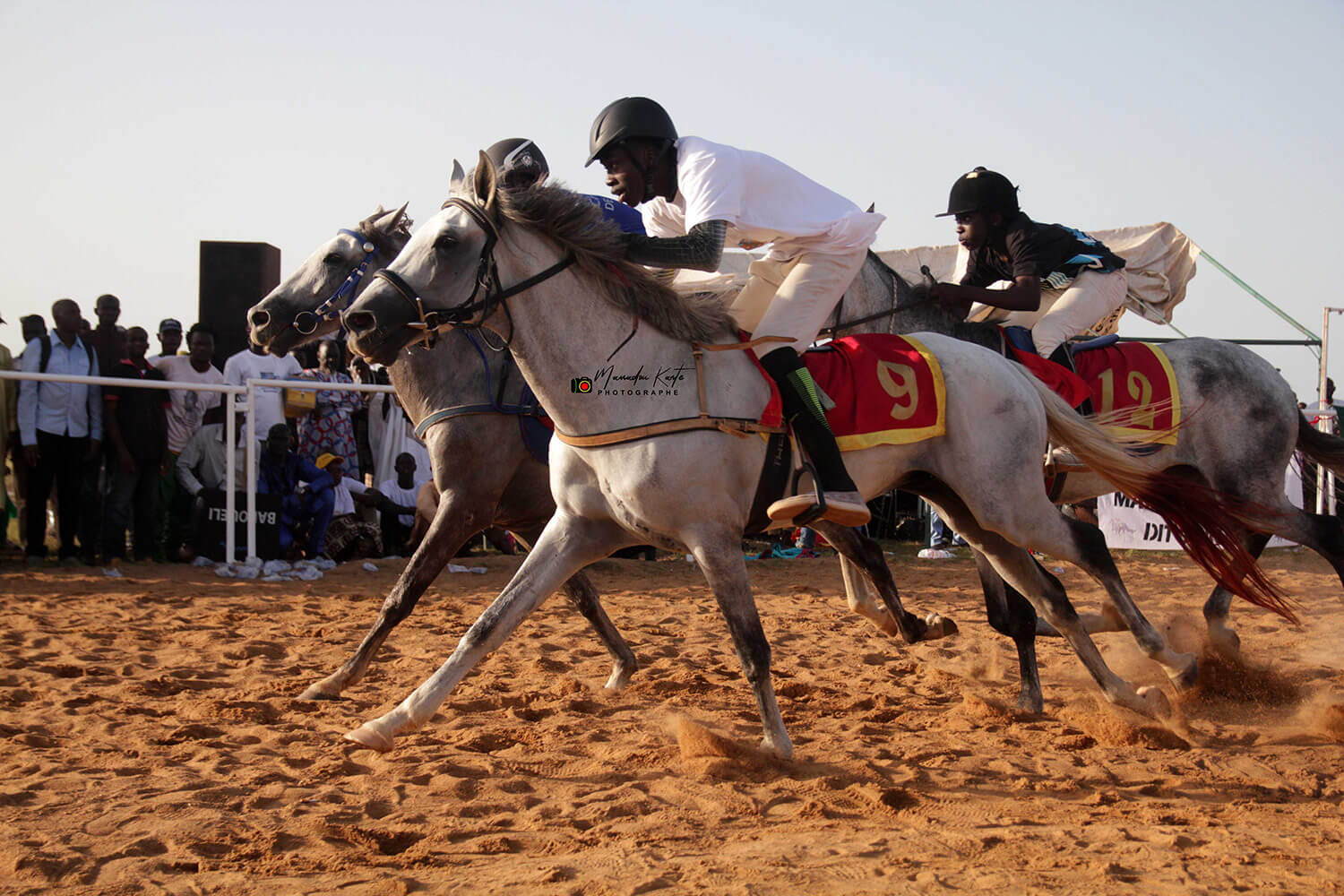 Sport Equestre : Un partenariat gagnant-gagnant